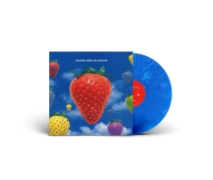 Lightning Seeds The - Jollification