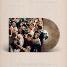 The Amazons - 21St Century Fiction (Grey Vinyl)