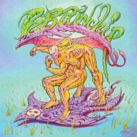 Brainchip - Brainchip