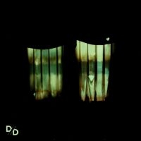 Divide And Dissolve - Insatiable