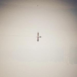 Naqvi Qasim - Endling (Translucent Vinyl)