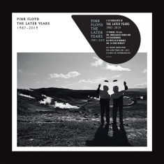 Pink Floyd - Split Seams/Vikt Hörn The Later Years: 1987-2019 (Vinyl)