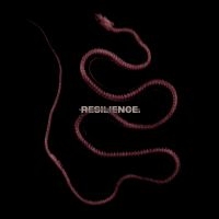 Throatcut - Resilience (Red/Black Marble)