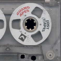 Guano Apes - The Lost (T)Apes