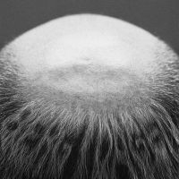 Vasas Flora Och Fauna - Berg I Dagen (Ltd Ed 2Lp)