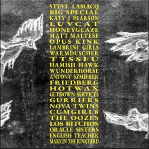 Various Artists - A Hideous Collective
