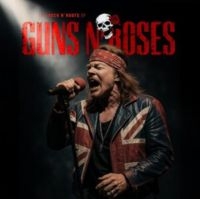 Guns N Roses - The Rock N' Roots Of Guns N Roses