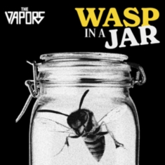 The Vapors - Wasp In A Jar