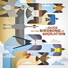 Various Artists - A Guide To The Birdsong Of Migratio
