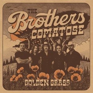 The Brothers Comatose - Golden Grass