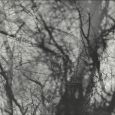 Grouper - Way Their Crept