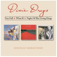 Dixie Dregs - Free Fall/What If/Night Of The Living Dregs