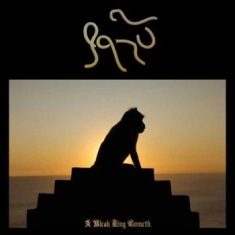 Qasu - A Bleak King Cometh (Vinyl Lp)