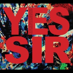 Penny Rimbaud's L'académie Des Vani - Yes Sir, The Truth Of Revolution