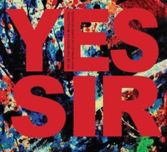 Penny Rimbaud - Yes Sir, The Truth Of Evolution