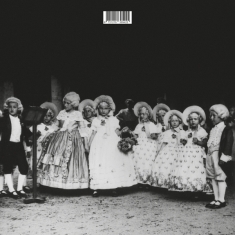 Julia Effekt - Nachtparkett