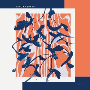 Lassy Timo - Trio