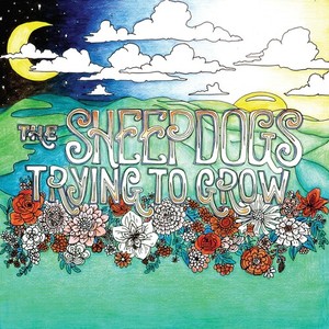 Sheepdogs The - Trying To Grow