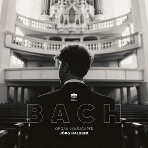 Bach J S - Organ Landscapes