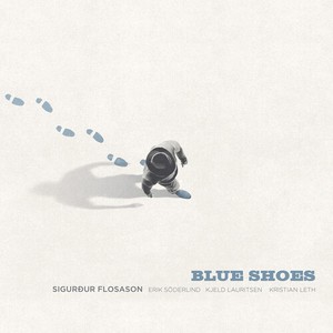 Sigurður Flosason - Blue Shoes