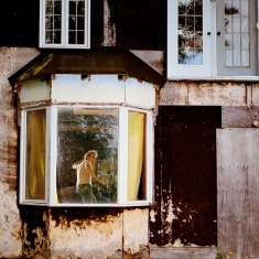 Louanges Les - Alouette!