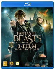 Movie - Fantastic Beasts 3 Film Collection (Bd)