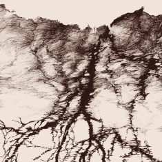 Ylva Ceder - Tree Vibrations