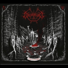 Drudensang - Verborgene Riten