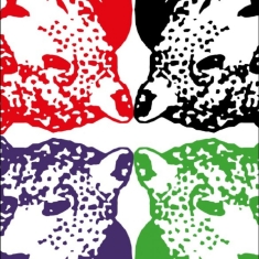 Tiger & Woods - Through The Green