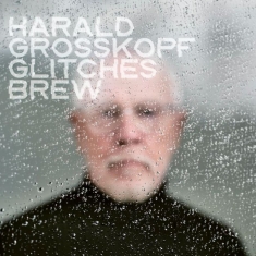 Harald Grosskopf - Glitches Brew