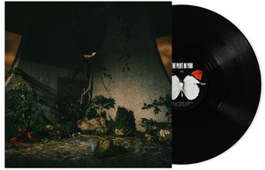 The Plot In You - The Plot In You (Vinyl)