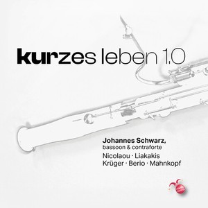 Johannes Schwarz - Kurzes Leben 1.0