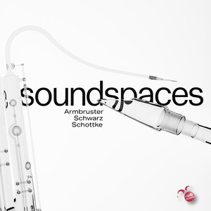 Johannes Schwarz Sascha Armbruster - Soundspaces