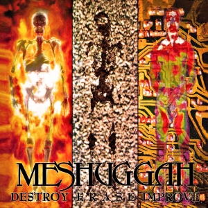 Meshuggah - Destroy Erase . Grey Marble