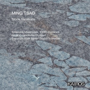 Ming Tsao - Triode Variations
