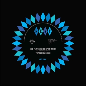 The Family Brick / Ray Gant - I'll Fly To Your Open Arms / Did Sh