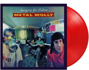 Metal Molly - Surgery For Zebra