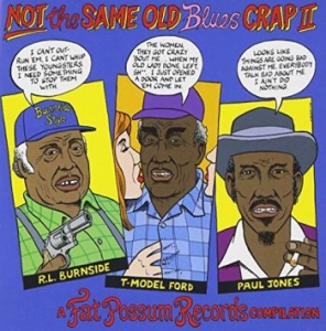 Various Artists - Not The Same Old Blues Crap Ii