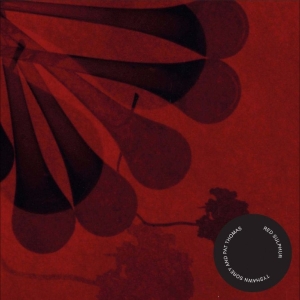Tyshawn Sorey & Pat Thomas - Red Sulphur