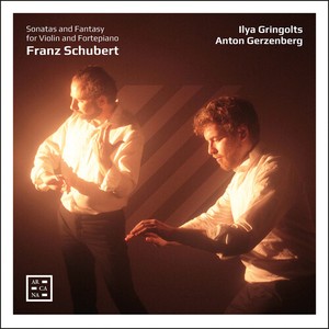 Franz Schubert - Sonatas And Fantasy For Violin And