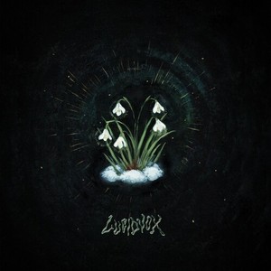 Lucidvox - That's What Remained