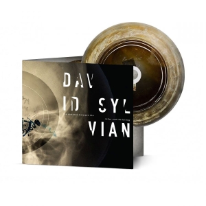 Sylvian David - Distance Between The Killer And The