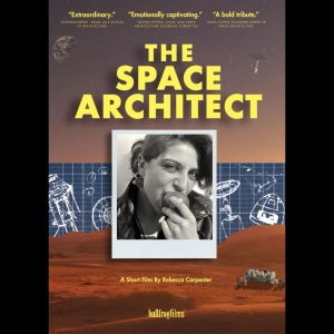 Various Artists - The Space Architect