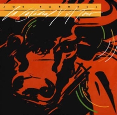 Farrell Joe - Le Catedral Y El Toro