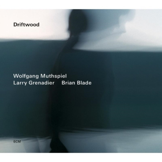Wolfgang Muthspiel/Larry Grenadier/ - Driftwood
