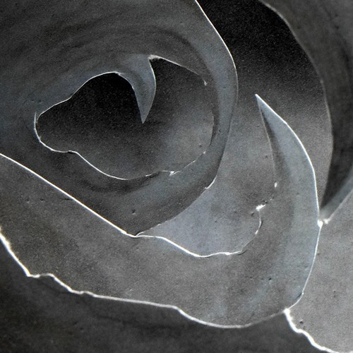 A-Symmetry - I Am Life