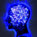 Enter Shikari - Mindsweep - Ltd.Ed. Cd+Dvd Enter Shikari - Mindsweep - Ltd.Ed. Cd+Dvd