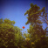 Pioulard Benoit - Sonnet Pioulard Benoit - Sonnet