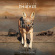 Attention Thieves - Year Of The Jackal Attention Thieves - Year Of The Jackal