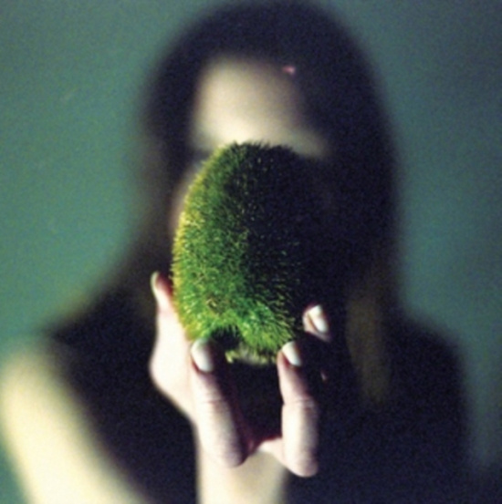 Circuit Des Yeux - In Plain Speech